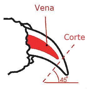 022b04e62ea9ff8a6aeae2cb9e99af0a