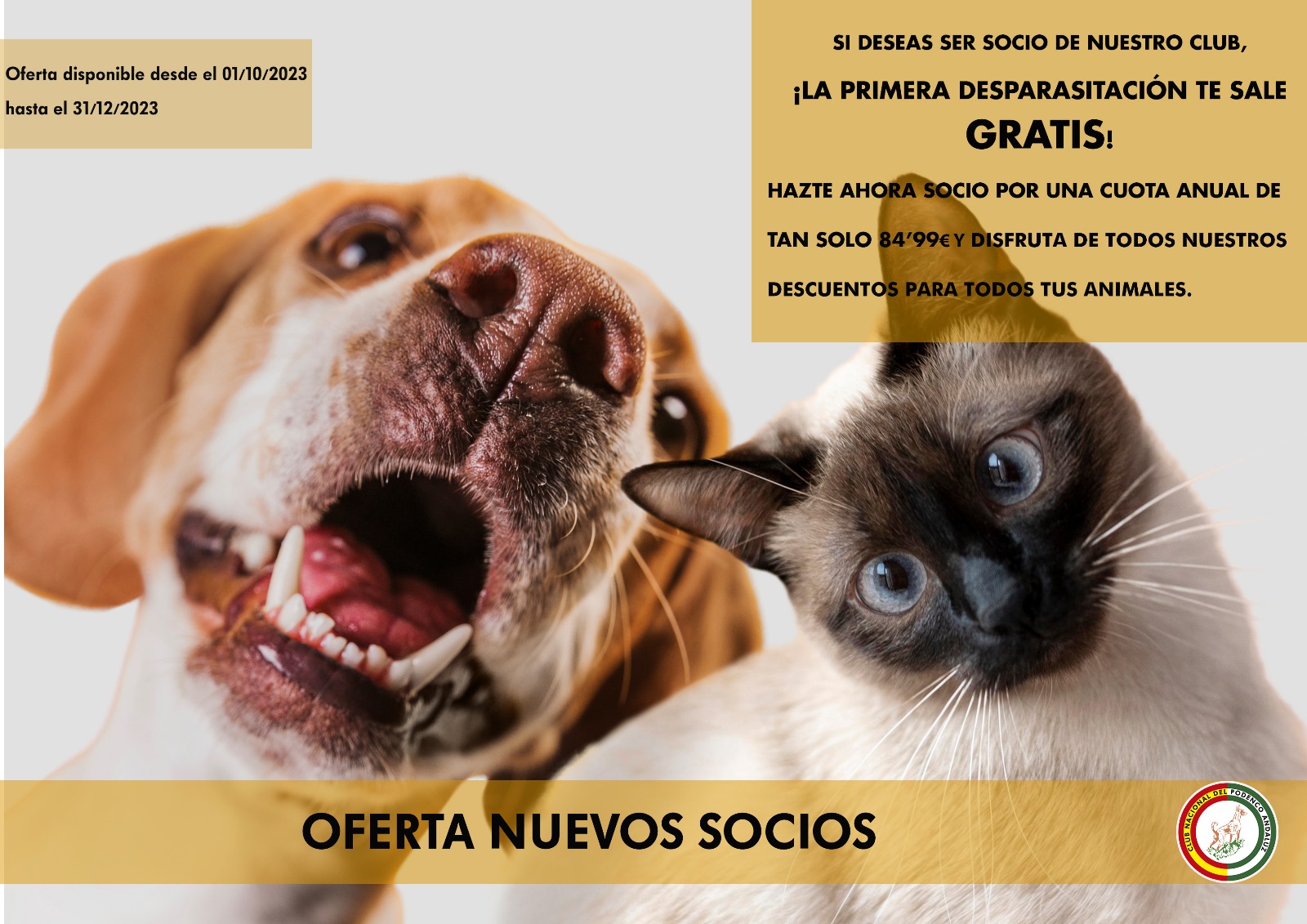 OFERTA NUEVOS SOCIOS Image