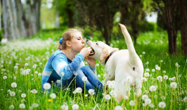 Cuidados de su mascota en primavera