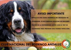 Leishmaniosis, enfermedad que afecta a nuestras mascotas